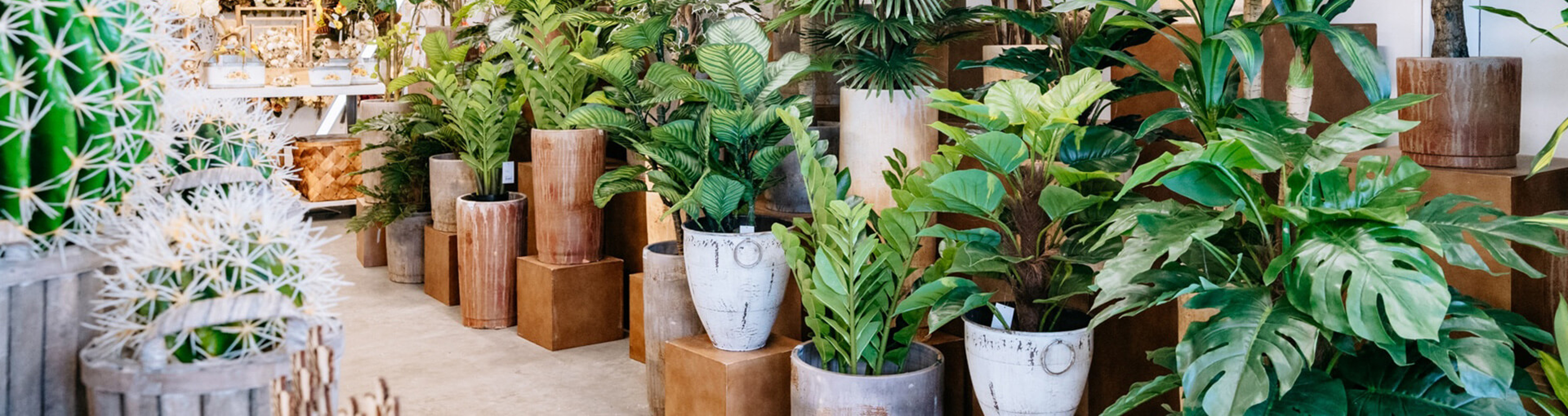 Header Piante Artificiali