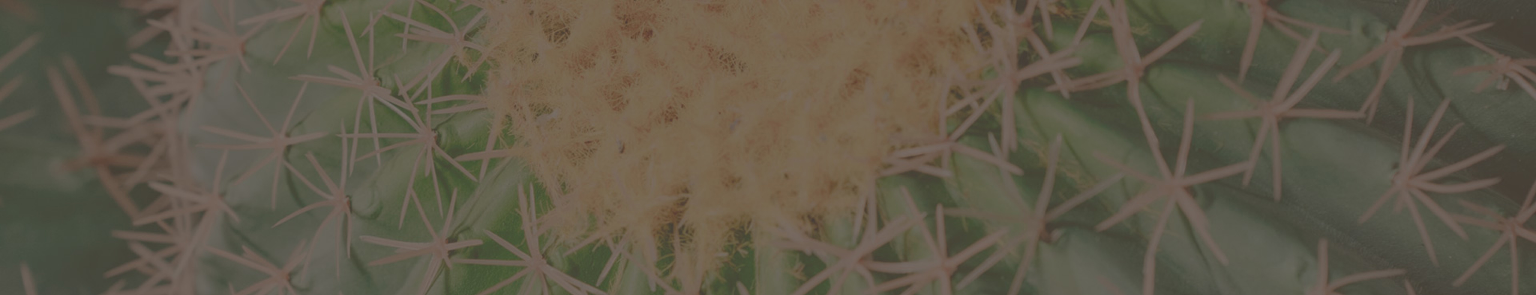 Piante Artificiali Fascia 1