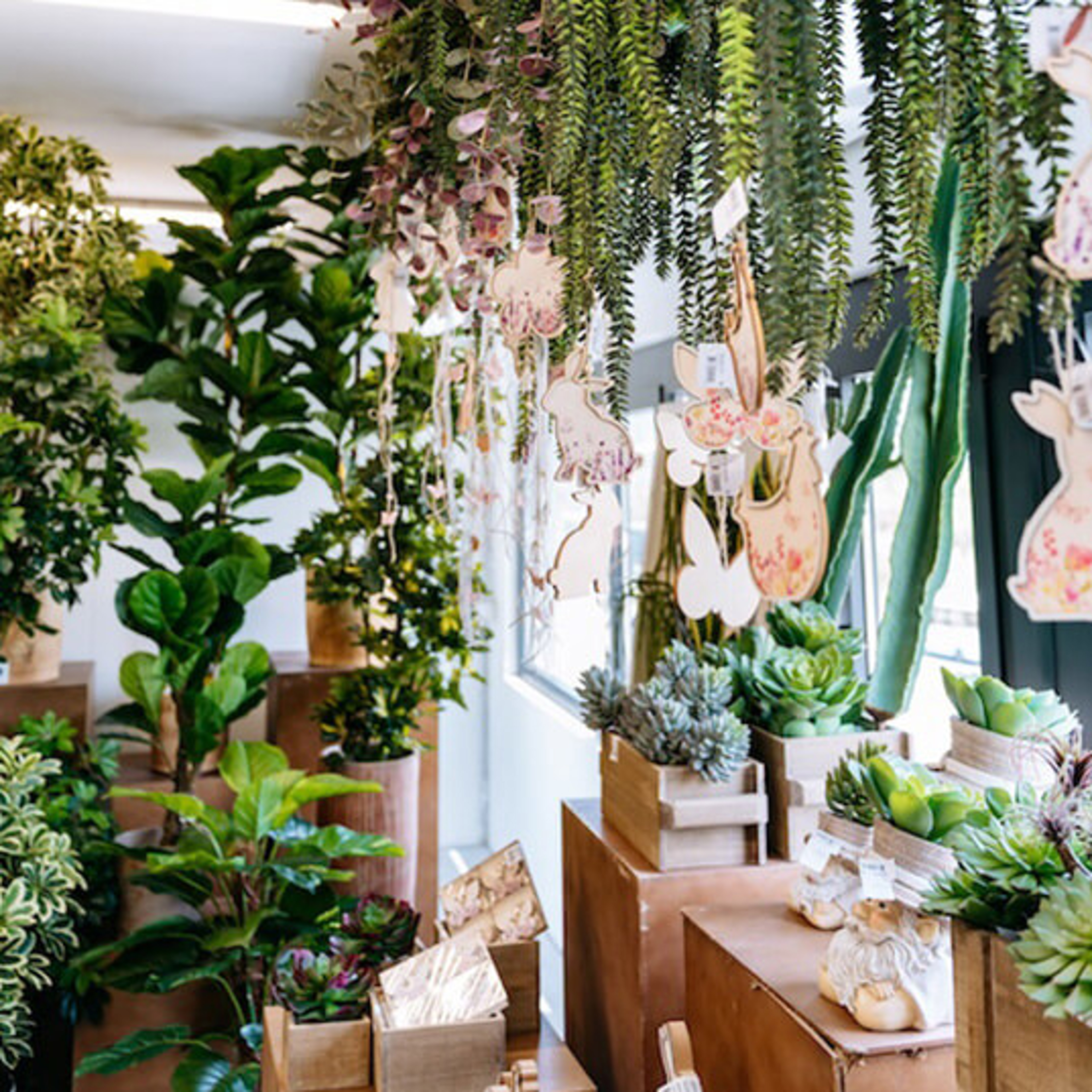 Primavera Carosello 5