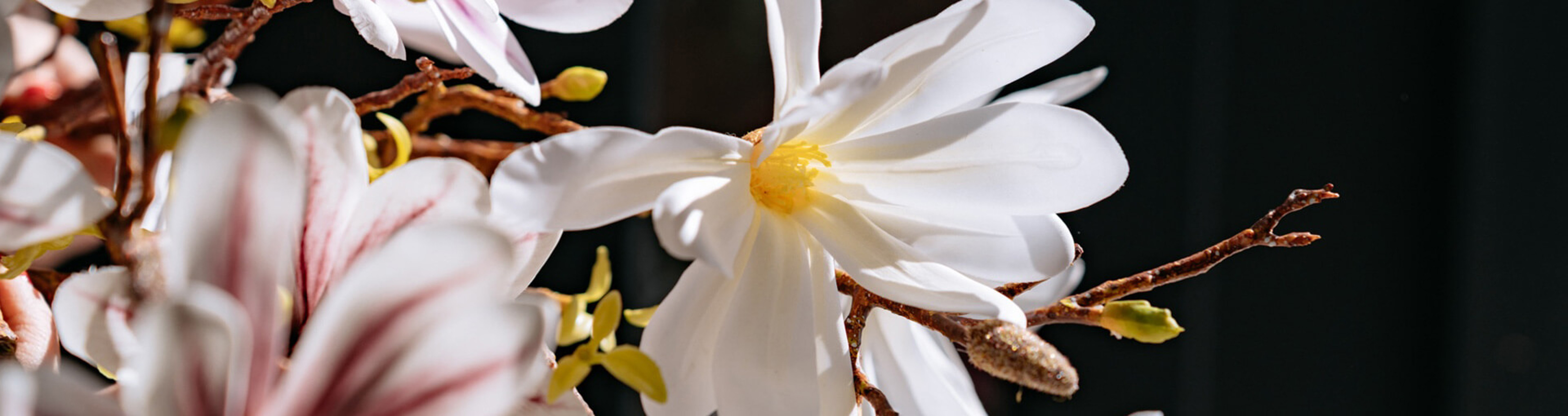 Header Fiori Evidenza