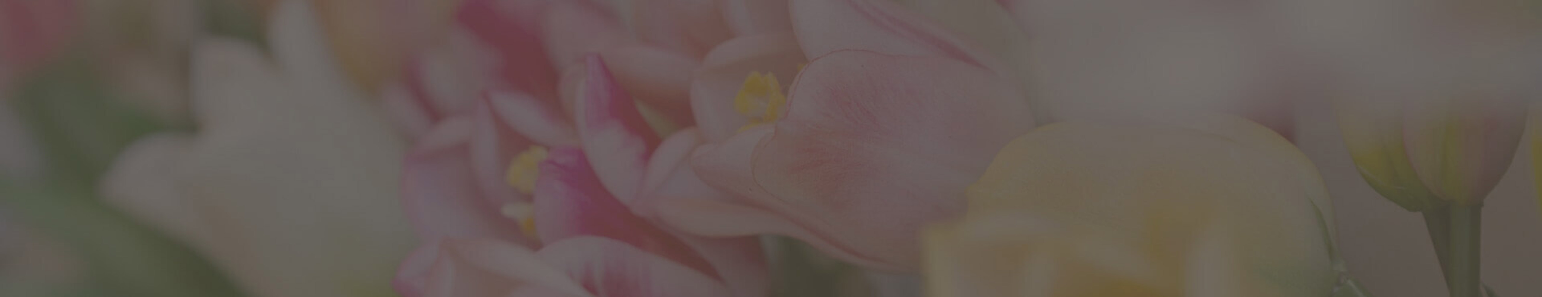 Fiori Artificiali Fascia