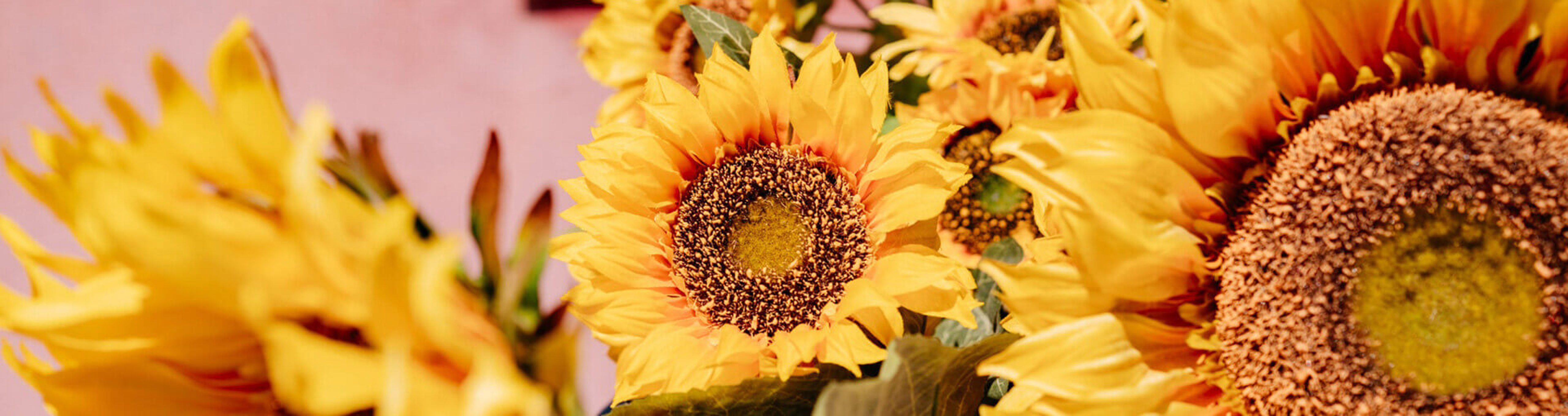 Header Fiori Artificiali