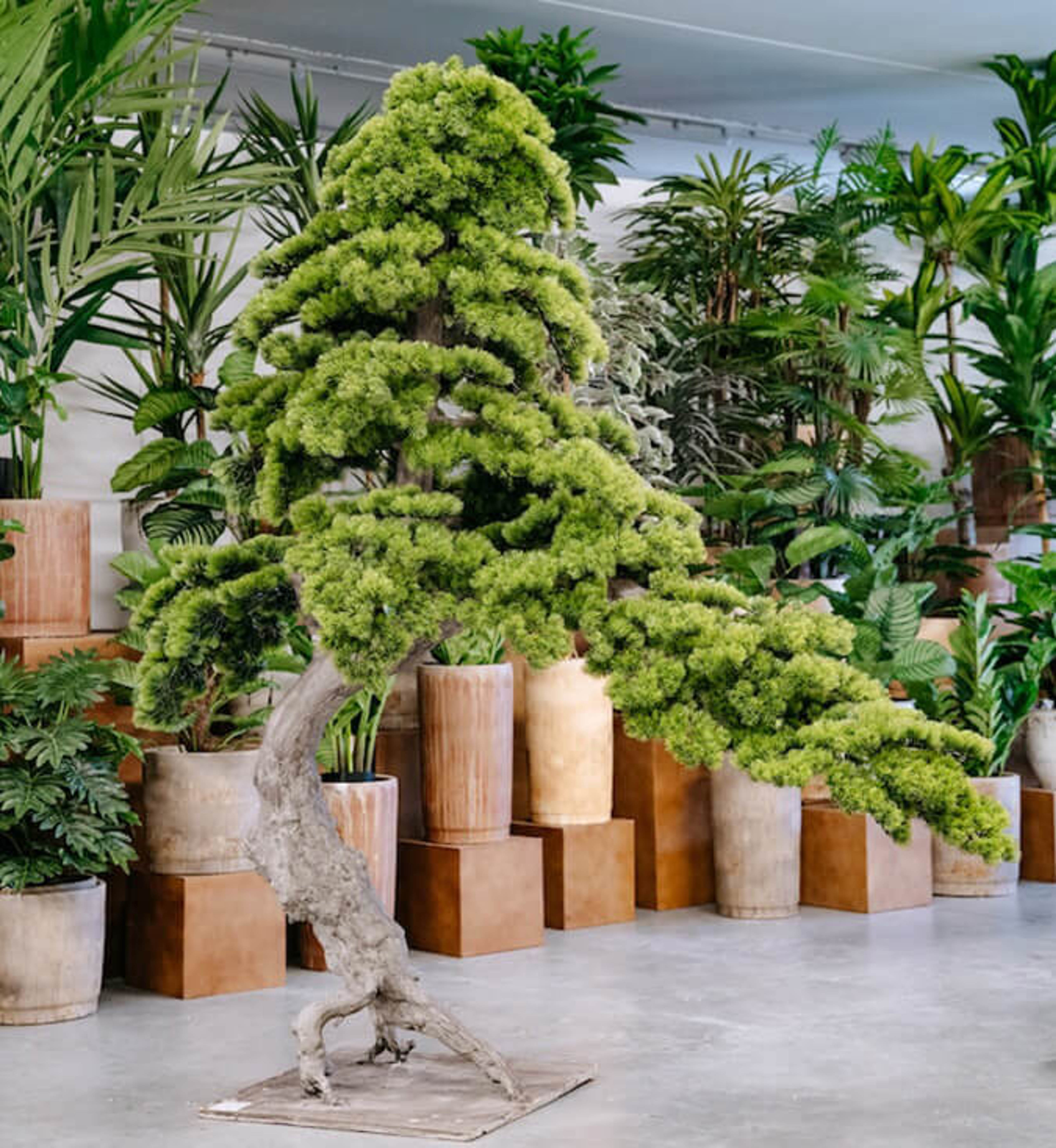 Piante Artificiali Scacchiera 4