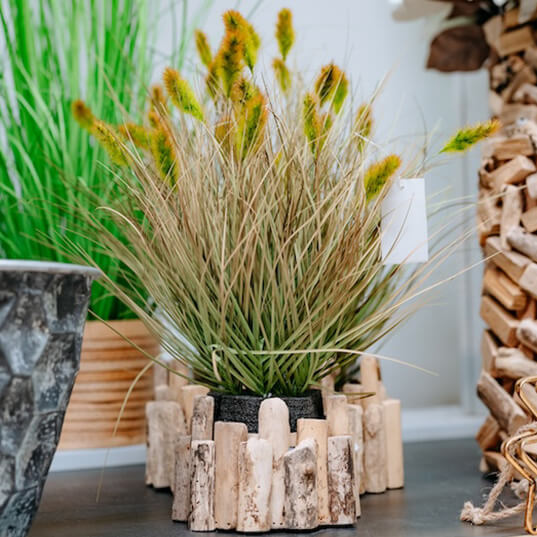 Immagine interattiva