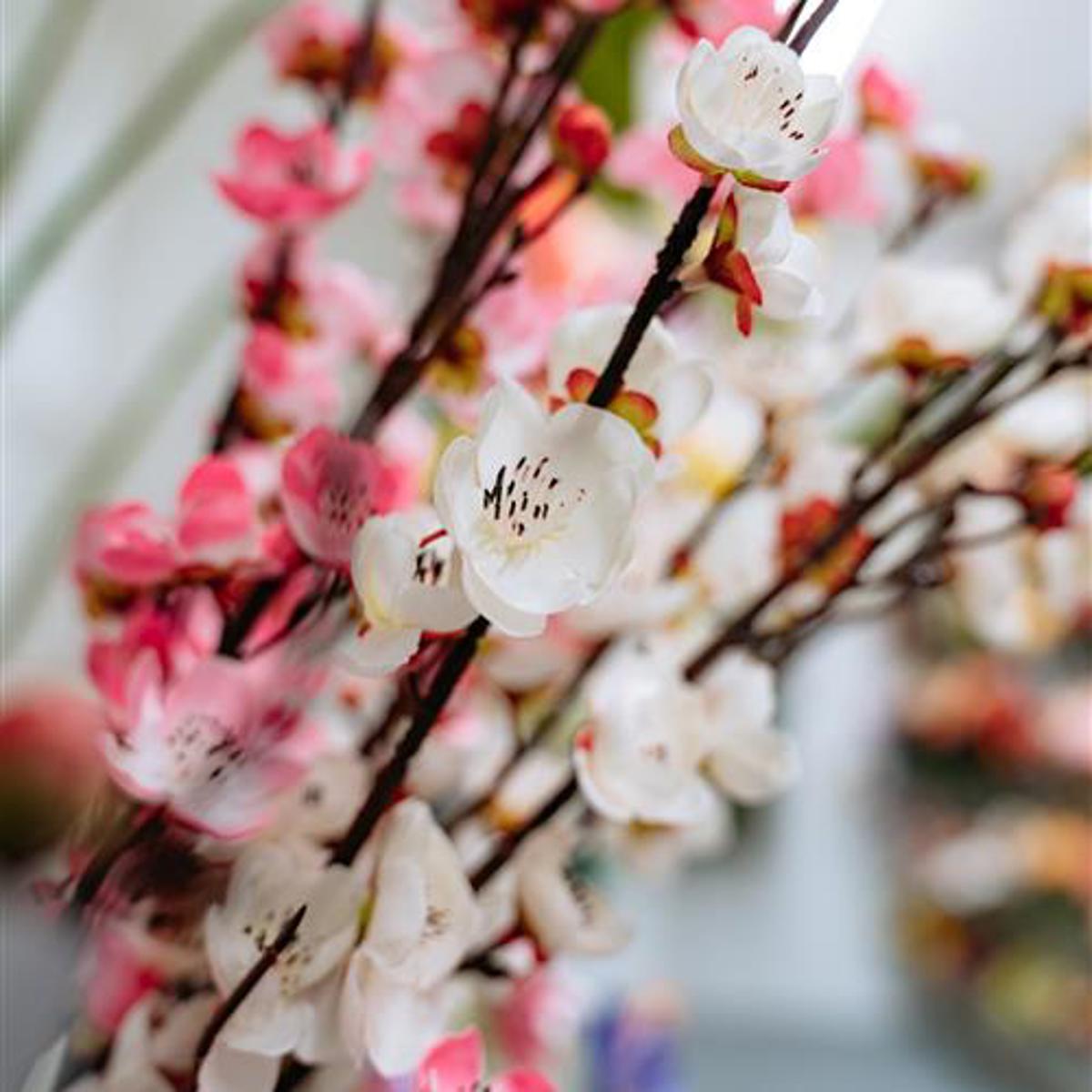 Primavera News Thumb