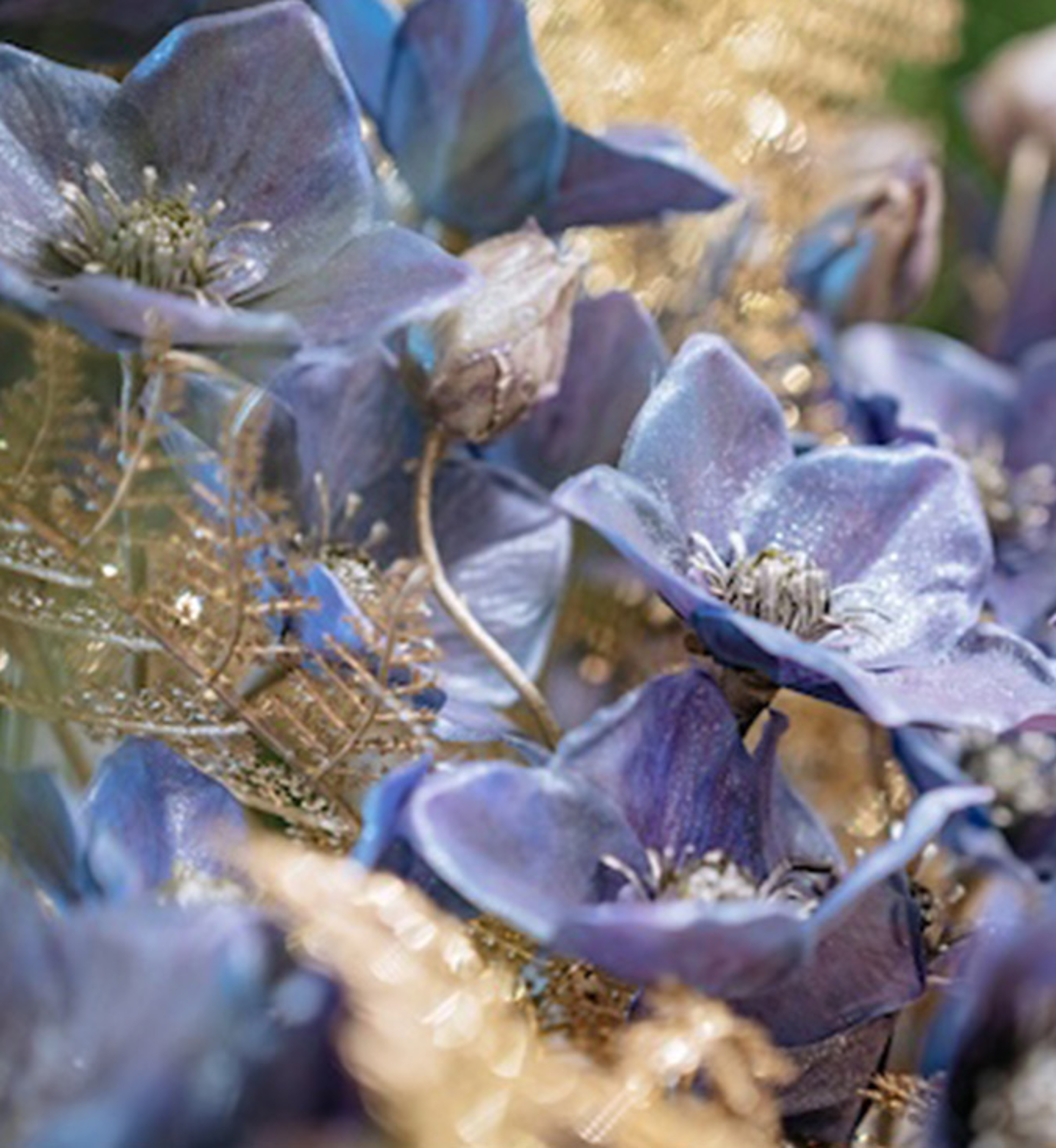 Inverno Scacchiera 6