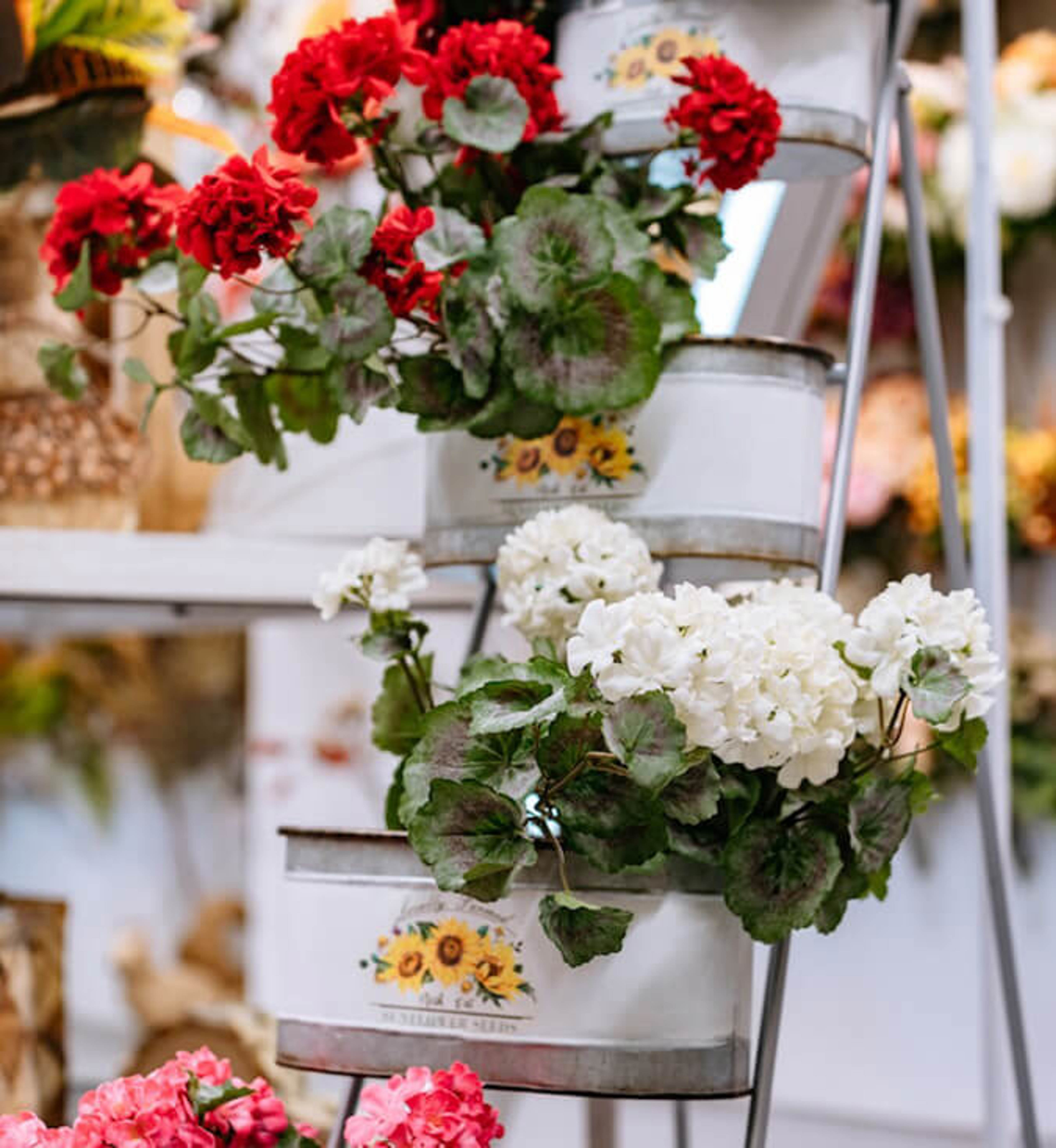 Primavera Scacchiera 3