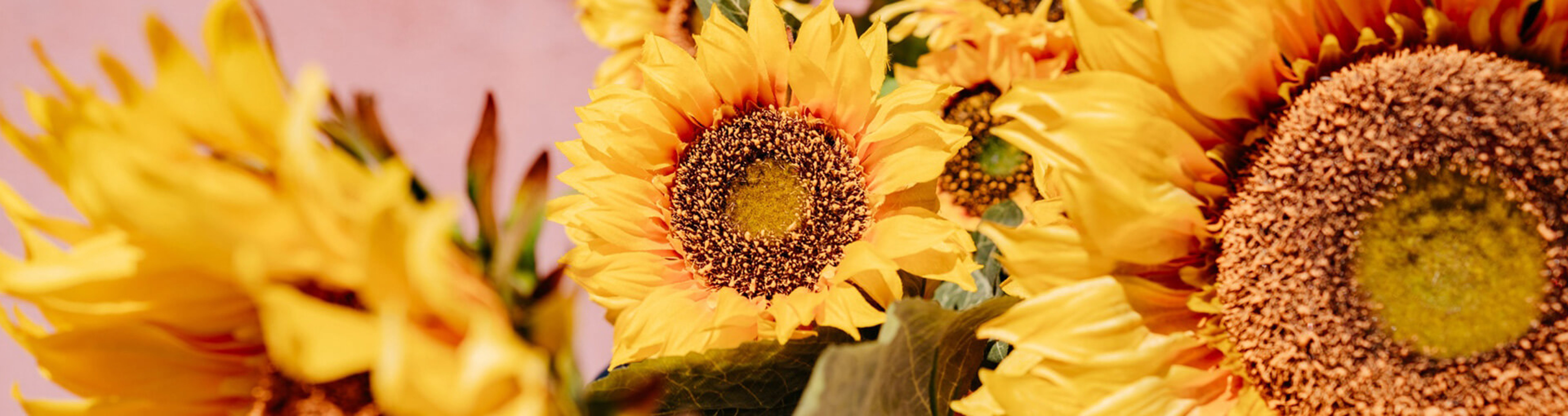 Prefooter Fiori Evidenza