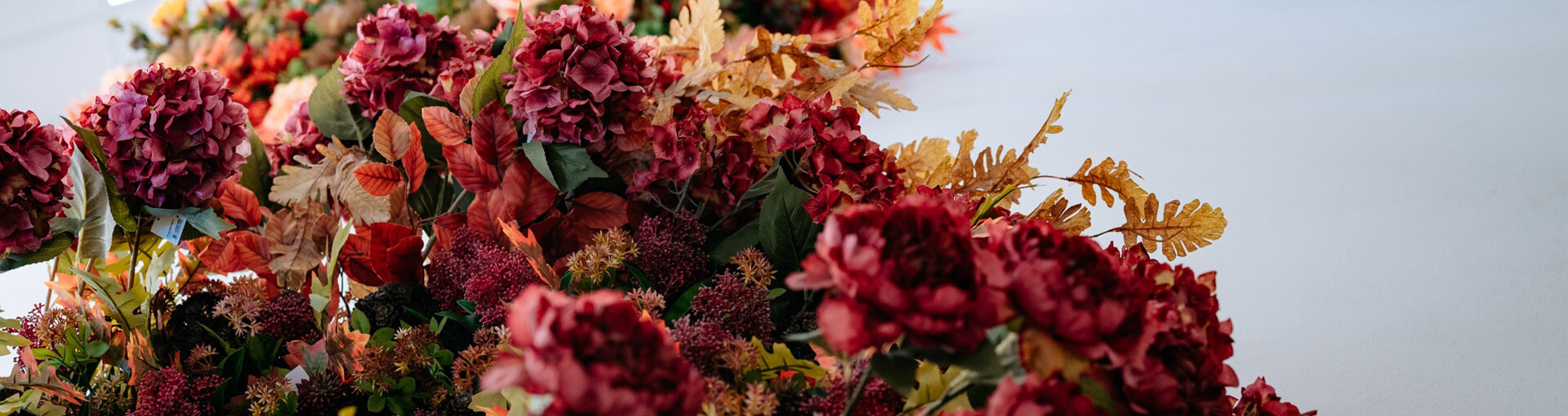 Header Autunno