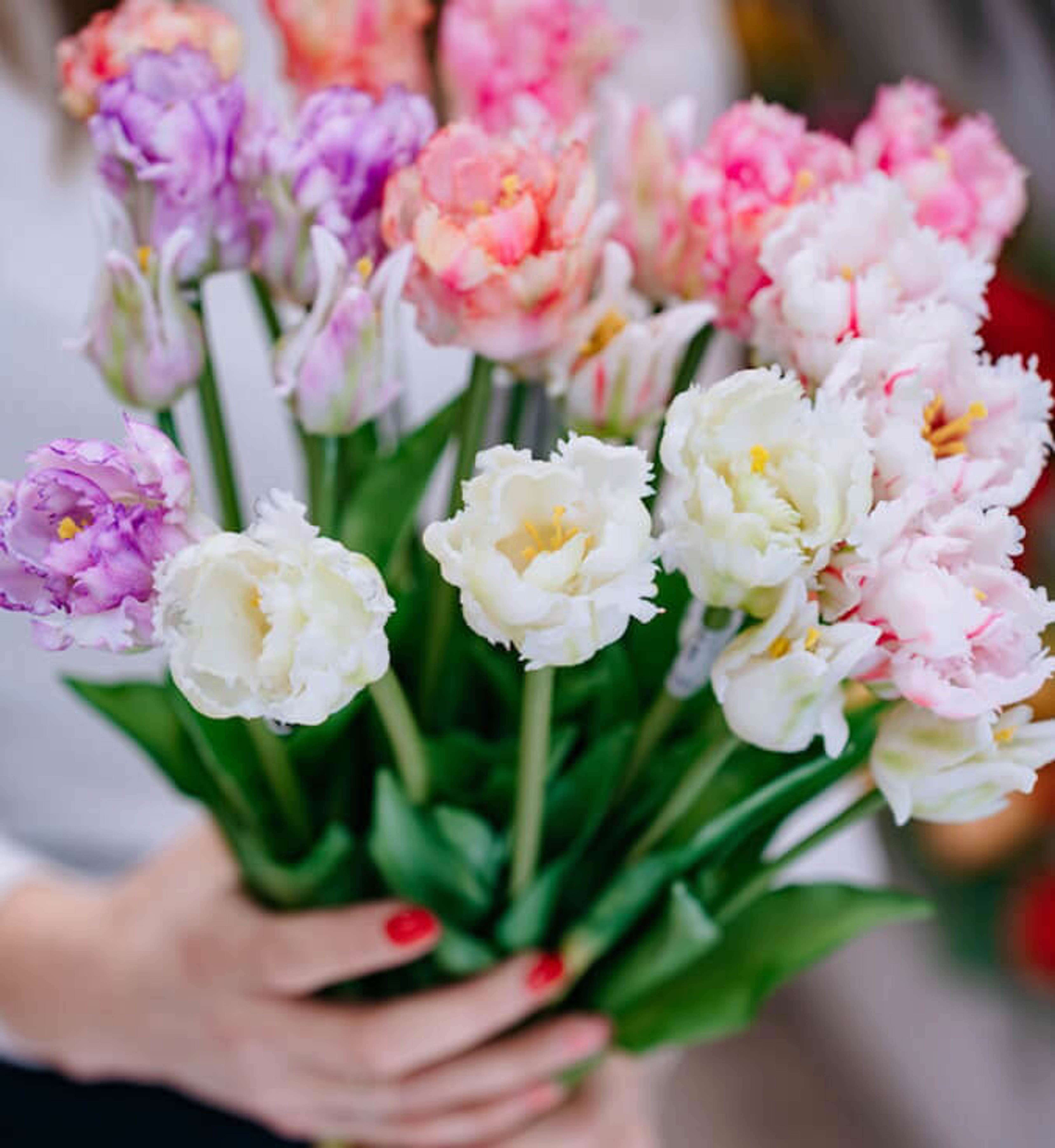 Scacchiera Fiori Evidenza 4