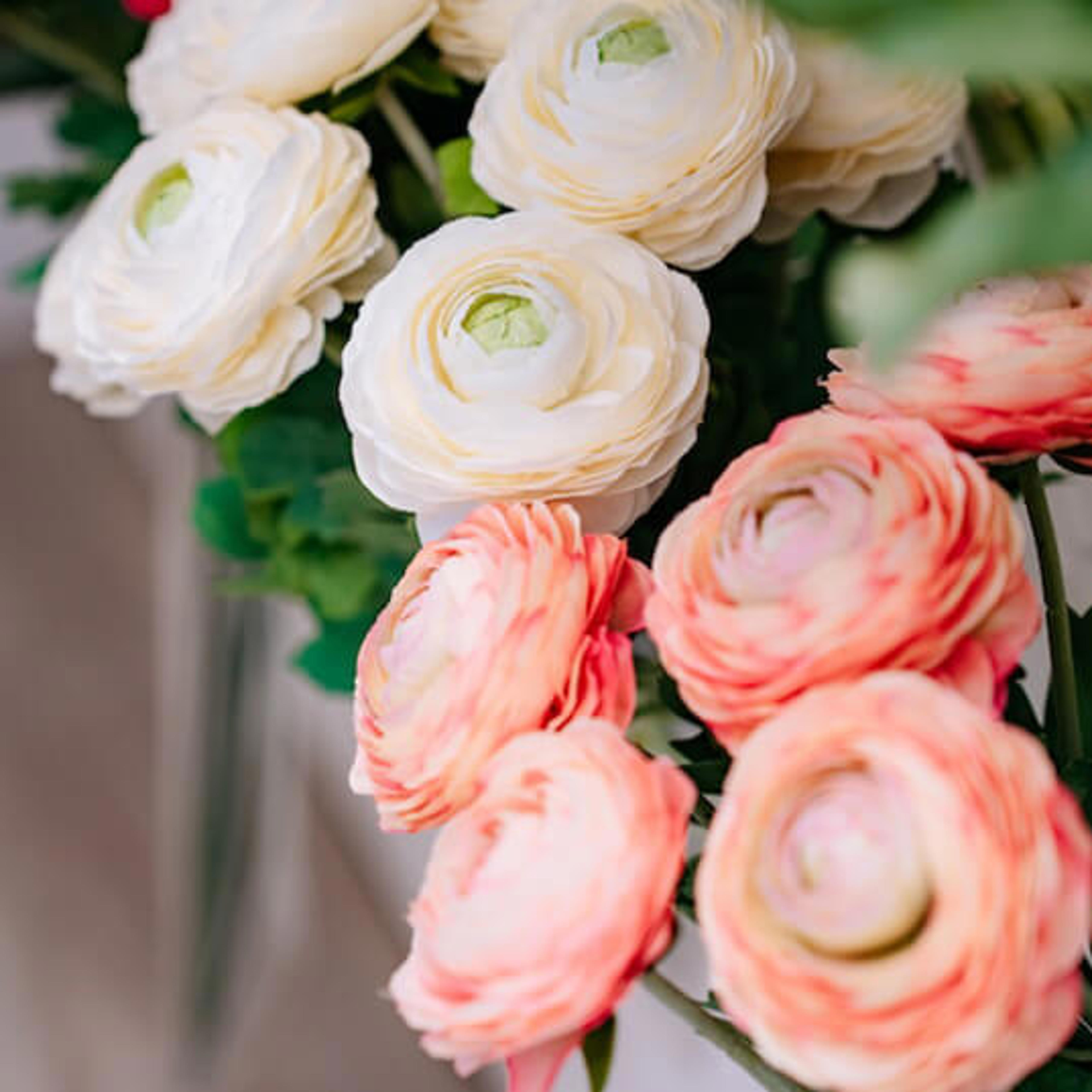 Carosello Fiori Evidenza 8