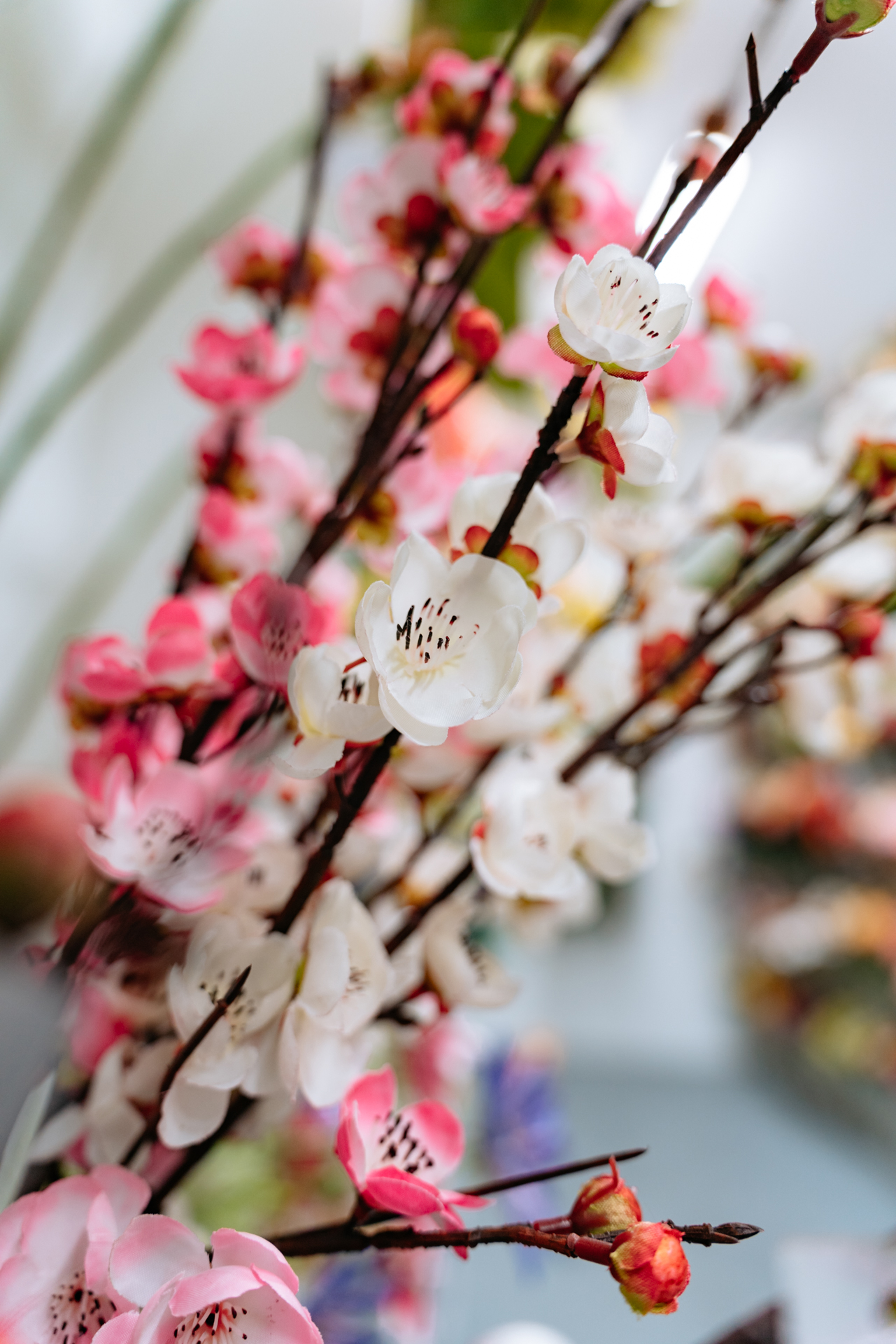 Primavera News Detail