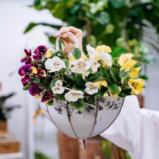 Immagine interattiva